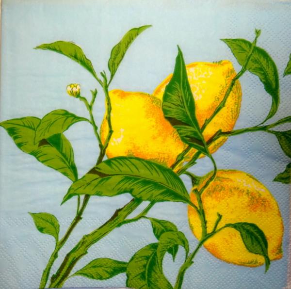 058 Lemons,  Oranges - 3 ply - Fasana